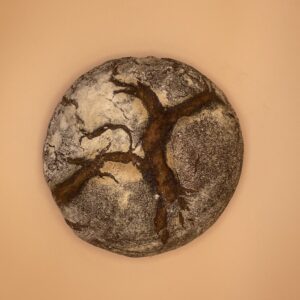 Tourte Auvergnate
